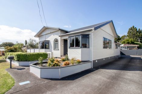 Photo of property in 30 Willoughby Street, Paeroa, 3600
