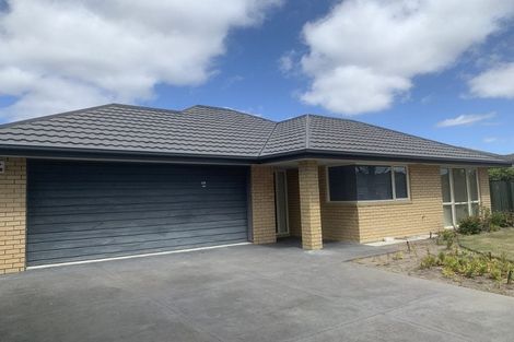 Photo of property in 19 Mounter Avenue, Northwood, Christchurch, 8051