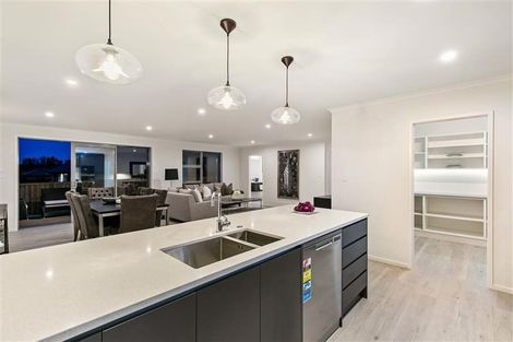 Photo of property in 12 Lisle Farm Drive, Pukekohe, 2120