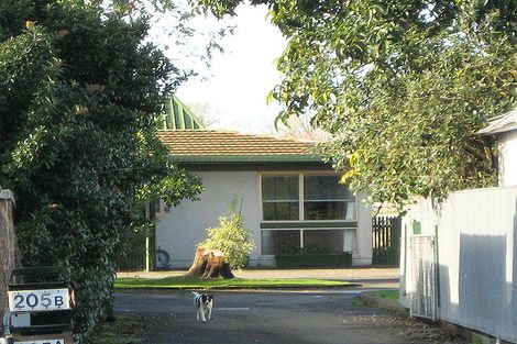 Photo of property in 205a Gascoigne Street, Raureka, Hastings, 4120