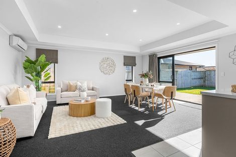 Photo of property in 59 Ladeira Place, Fitzroy, Hamilton, 3206