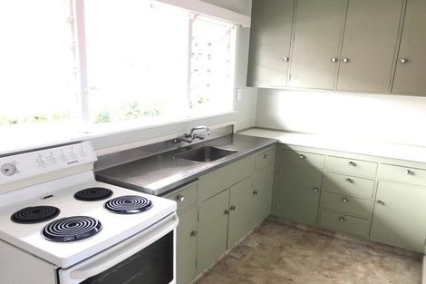 Photo of property in 241u2 Ulster Street, Whitiora, Hamilton, 3200