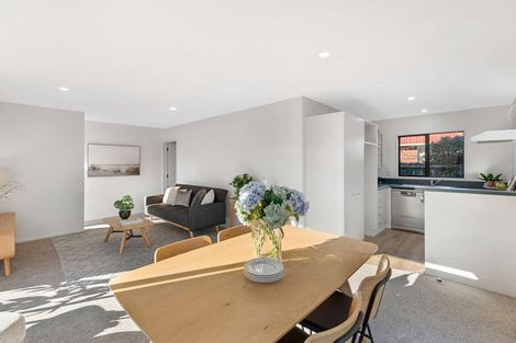 Photo of property in 1/58 Hope Street, Shirley, Christchurch, 8013