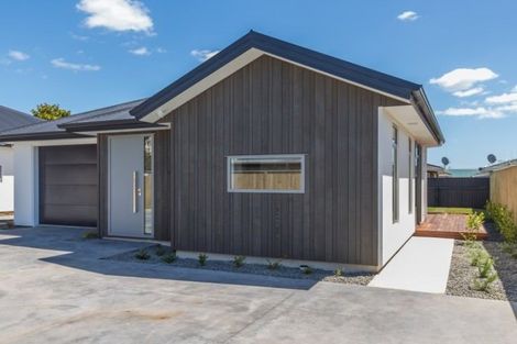 Photo of property in 19a Trafalgar Street, Levin, 5510