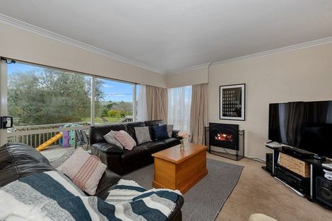 Photo of property in 14 Lamont Street, Chartwell, Hamilton, 3210