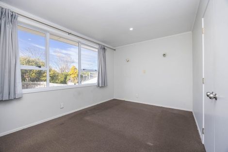 Photo of property in 41 Bruce Avenue, Glenview, Hamilton, 3206