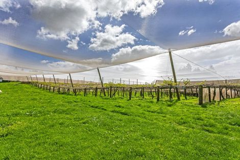 Photo of property in 231 Walford Road, Aongatete, Katikati, 3181