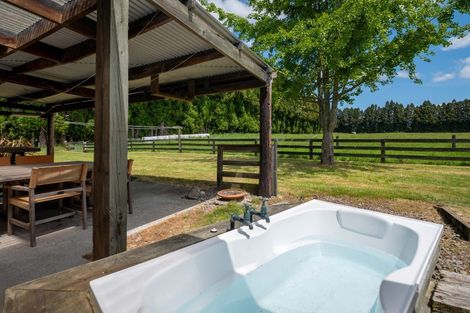 Photo of property in 139 Te Puea Road, Tikitere, Rotorua, 3074