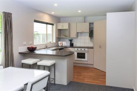 Photo of property in 4 Magnolia Lane, St Albans, Christchurch, 8052