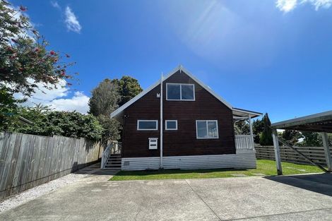 Photo of property in 43 Hutchinson Avenue, New Lynn, Auckland, 0600