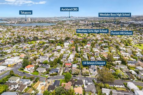Photo of property in 18 Selwyn Crescent, Forrest Hill, Auckland, 0620