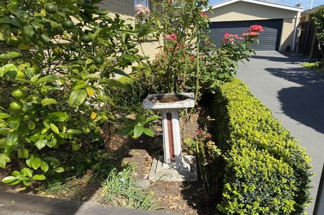 Photo of property in 77 Halberg Street, Dallington, Christchurch, 8061
