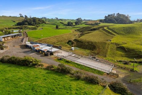 Photo of property in 1234 Richmond Road, Everett Park, Inglewood, 4389