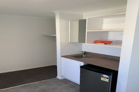 Photo of property in 11u4 Edgecumbe Street, Whitiora, Hamilton, 3200