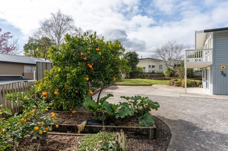 Photo of property in 26 Thomson Avenue, Dinsdale, Hamilton, 3204