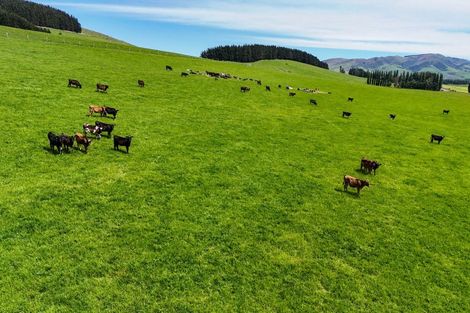 Photo of property in 242 Caroline Valley Road, Caroline, Dipton, 9791