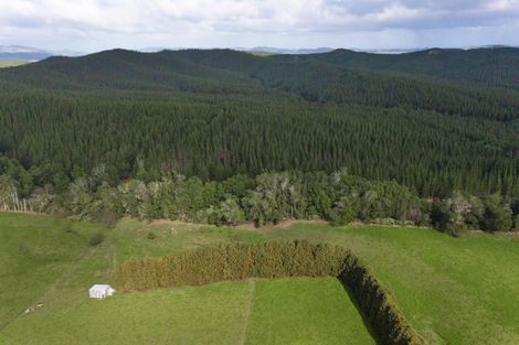 Photo of property in 160 Mcwatt Road, Waitakaruru, Ngatea, 2471