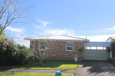 Photo of property in 100 Storey Avenue, Forest Lake, Hamilton, 3200