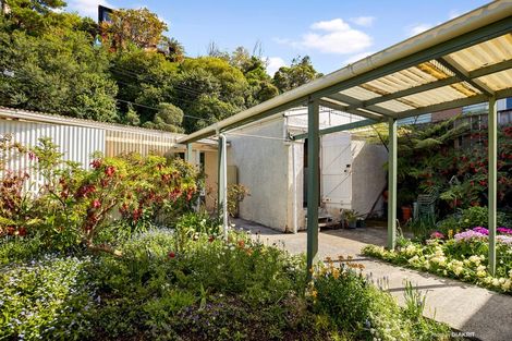 Photo of property in 10 Mortimer Terrace, Aro Valley, Wellington, 6021