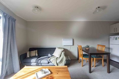 Photo of property in 58 Willoughby Street, Whitiora, Hamilton, 3200