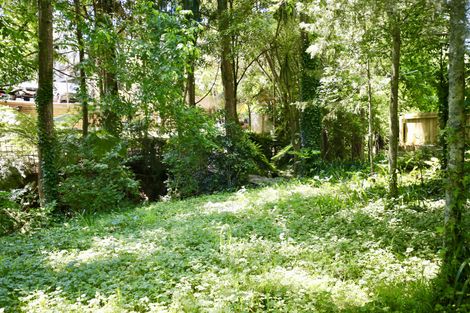 Photo of property in 66 Pelorus Street, Glenview, Hamilton, 3206