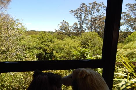 Photo of property in 10 Peacock Garden Drive, Kerikeri, 0230