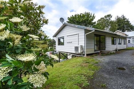 Photo of property in 53 Buccleugh Street, North East Valley, Dunedin, 9010