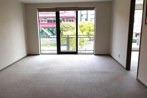 Photo of property in Dual Apartments, 210/142u Vivian Street, Te Aro, Wellington, 6011
