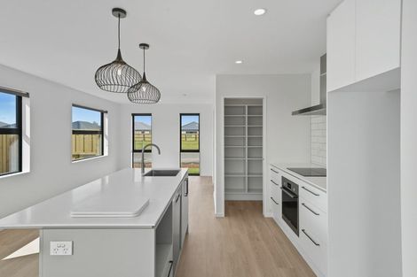 Photo of property in 17 Rita Angus Road, Belfast, 8051