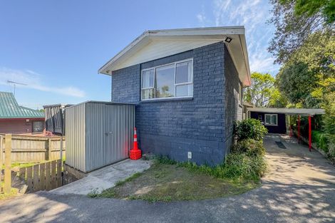 Photo of property in 17 Anderson Street, Putaruru, 3411