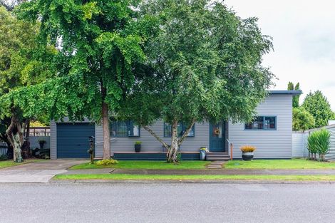 Photo of property in 3 Vincent Drive, Levin, 5510