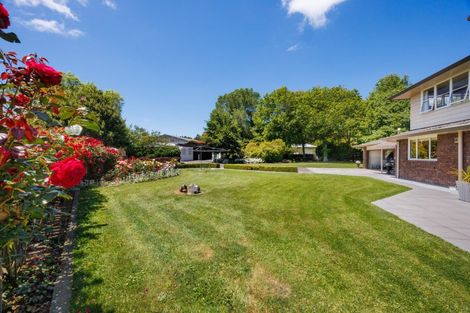 Photo of property in 758 Rangitikei Line, Milson, Palmerston North, 4475