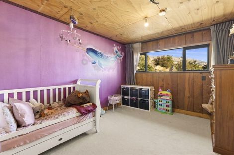 Photo of property in 57 Kaituki Ridge Lane, Queensberry, Cromwell, 9383