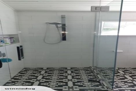 Photo of property in 7 Lothian Street, Maori Hill, Dunedin, 9010