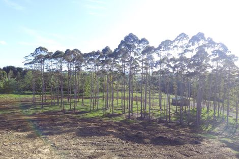 Photo of property in 2770 State Highway 10, Mangonui, 0494