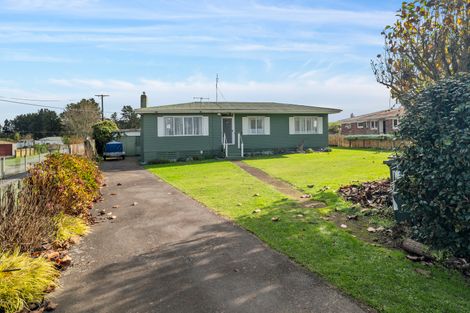 Photo of property in 17 Grey Street, Putaruru, 3411