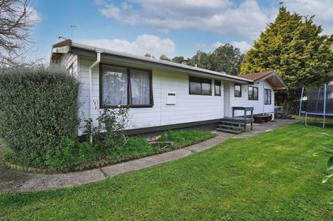 Photo of property in 55 Berkley Avenue, Hillcrest, Hamilton, 3216
