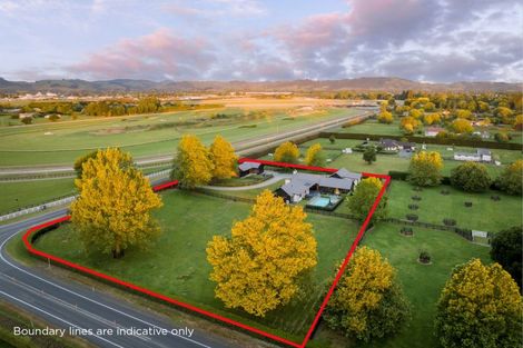 Photo of property in 119 Racecourse Road, Cambridge, 3493