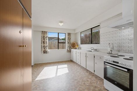 Photo of property in 47 Litchfield Street, Redwoodtown, Blenheim, 7201