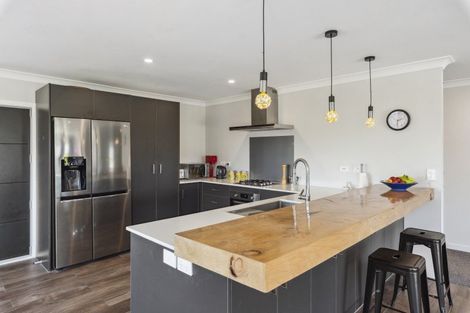 Photo of property in 201a Tiro Tiro Road, Levin, 5510