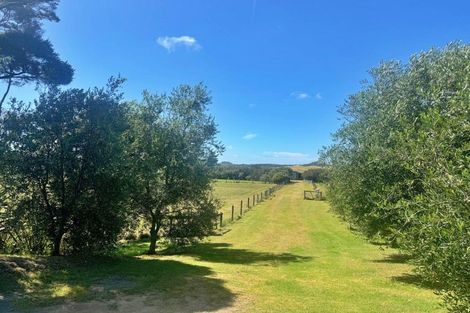 Photo of property in 83 Mcmanus Road, Houhora, Pukenui, 0484