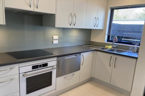 Photo of property in 30b Peacock Street, Christchurch Central, Christchurch, 8013