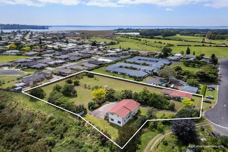 Photo of property in 19 Binnie Road, Katikati, 3129
