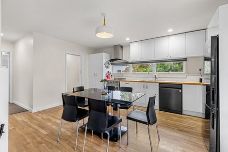 Photo of property in 10 Taumutu Road, Southbridge, 7602