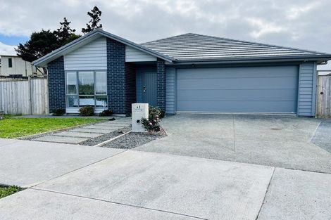 Photo of property in 43 Whakapono Road, Pukekohe, 2120