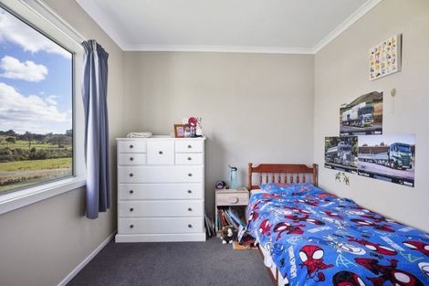 Photo of property in 20 Monteith Street, Halcombe, 4779