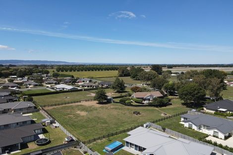 Photo of property in 37 Banks Road, Matamata, 3400