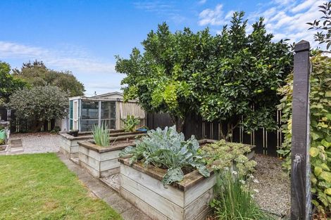 Photo of property in 11 Conrad Place, Leamington, Cambridge, 3432