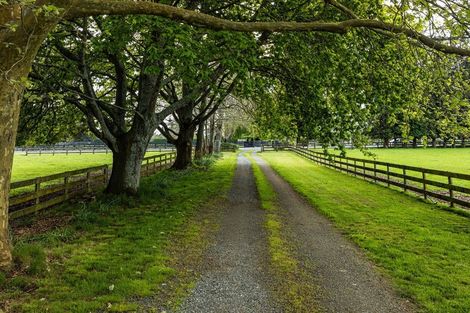 Photo of property in 1212 Kaipaki Road, Cambridge, 3495