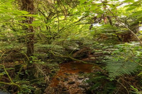 Photo of property in 542 Waitekauri Road, Waikino, Waihi, 3682